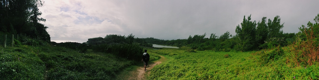 Spittal Pond Nature Reserve