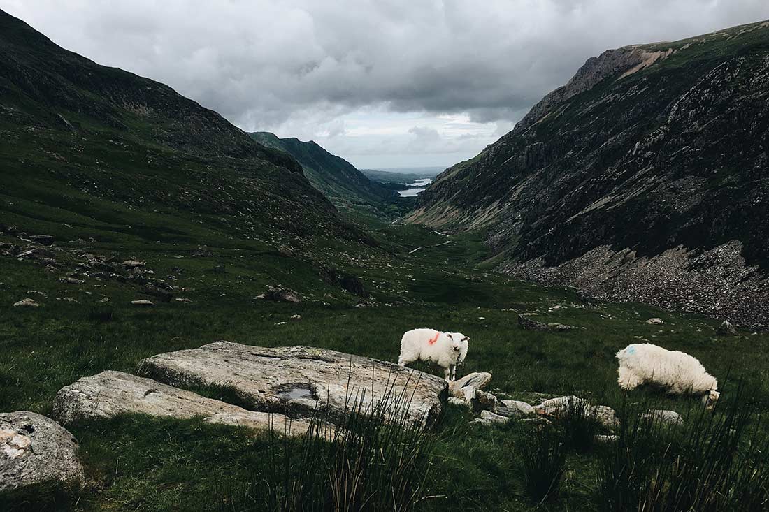 snowdon-pygtrack-trailhead